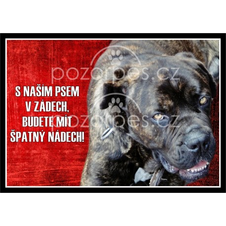 Tabulka SE PSEM V ZÁDECH