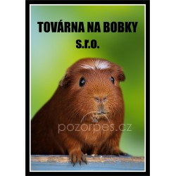 Tabulka morče - Továrna na bobky