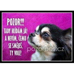 Tabulka ČEMU SE SMĚJEŠ