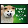 Akita Inu