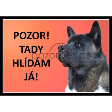 Americká akita typ2