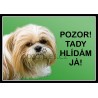 Shih-Tzu