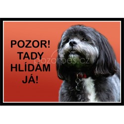 Shih-Tzu typ 2