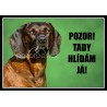 Bavorský barvář