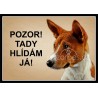 Basenji