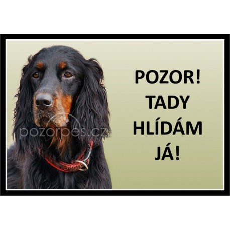 Gordon Setter