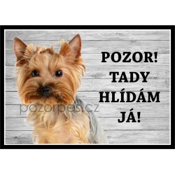 West highland white teriér