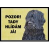 Černý ruský teriér