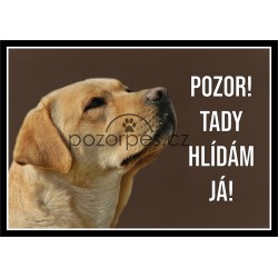 Labradorský retrívr žlutý / krémový