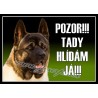Akita Inu 1 - VÝPRODEJ