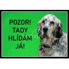Tabulka Anglický setr - hliník