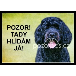 Portugalský vodní pes