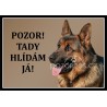 Německý ovčák