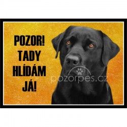 Tabulka Labradorský retrívr černý - hliník
