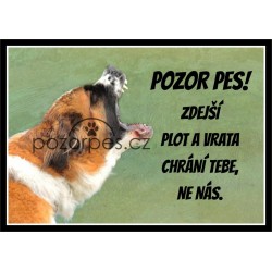 Tabulka PES ZA VRATY - hliník