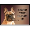 Francouzský buldoček světlý