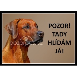 Tabulka Rhodéský ridgeback - hliník
