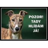 Greyhound - anglický chrt - hliník