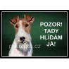 Tabulka Foxteriér drsnosrstý - hliník
