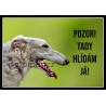 Barzoj 2- světlý
