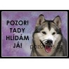 Aljašský malamut