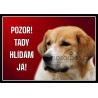 Český horský pes