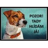 Jack Russell teriér typ 2 - hliník