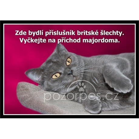 Tabulka BRITSKÁ ŠLECHTA kočka - hliník