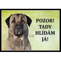 Tabulka Anatolský pastevecký pes / Kangal - hliník