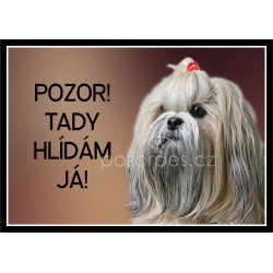 Lhasa Apso