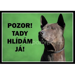Tabulka Thajský ridgeback - hliník