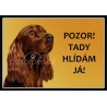 Tabulka Irský setr - hliník