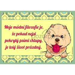 Tabulka  PSÍ CHLUPY