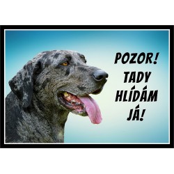 Louisianský leopardí pes - Catahoula I.
