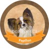 PAPILLON - samolepa na auto19cm/3ks