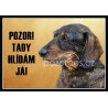 Jezevčík hrubosrstý