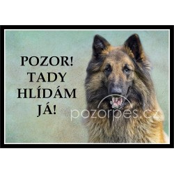 BELGICKÝ OVČÁK Tervueren