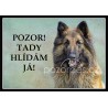 BELGICKÝ OVČÁK Tervueren