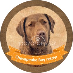 Chesapeake Bay retrívr - samolepa na auto 19 cm