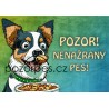 Tabulka NENAŽRANEJ PES univ.