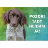 Malý münsterlandský ohař