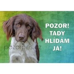 Malý münsterlandský ohař - hliník