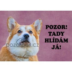 Welsh Corgi Pembroke - hliník