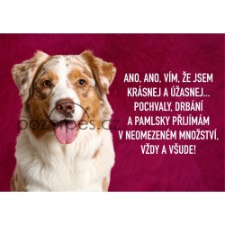 Tabulka JSEM KRÁSNEJ A ÚŽASNEJ hliník