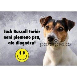 Tabulka DIAGNÓZA JACK RUSSEL