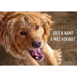 Tabulka MÁŠ KOKINA