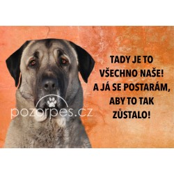 Tabulka TADY JE TO VŠECHNO NAŠE! hliník