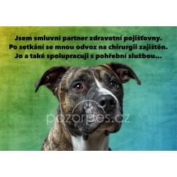 Tabulka ZDRAVOTNÍ POJIŠŤOVNA hliník