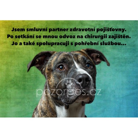 Tabulka ZDRAVOTNÍ POJIŠŤOVNA hliník