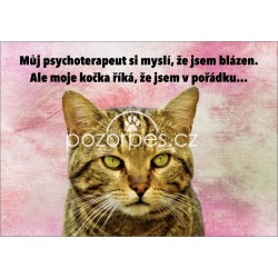 Tabulka  JSEM NORMÁLNÍ - KOČKA